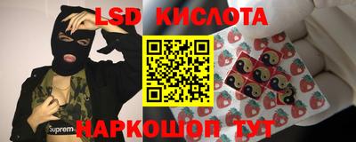 эйфоретик Моздок