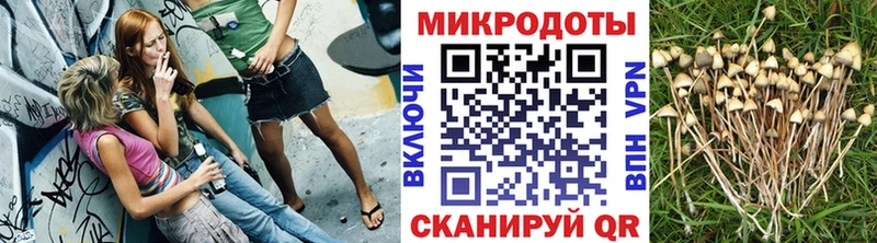 где продают   Чебоксары  Псилоцибиновые грибы ЛСД 