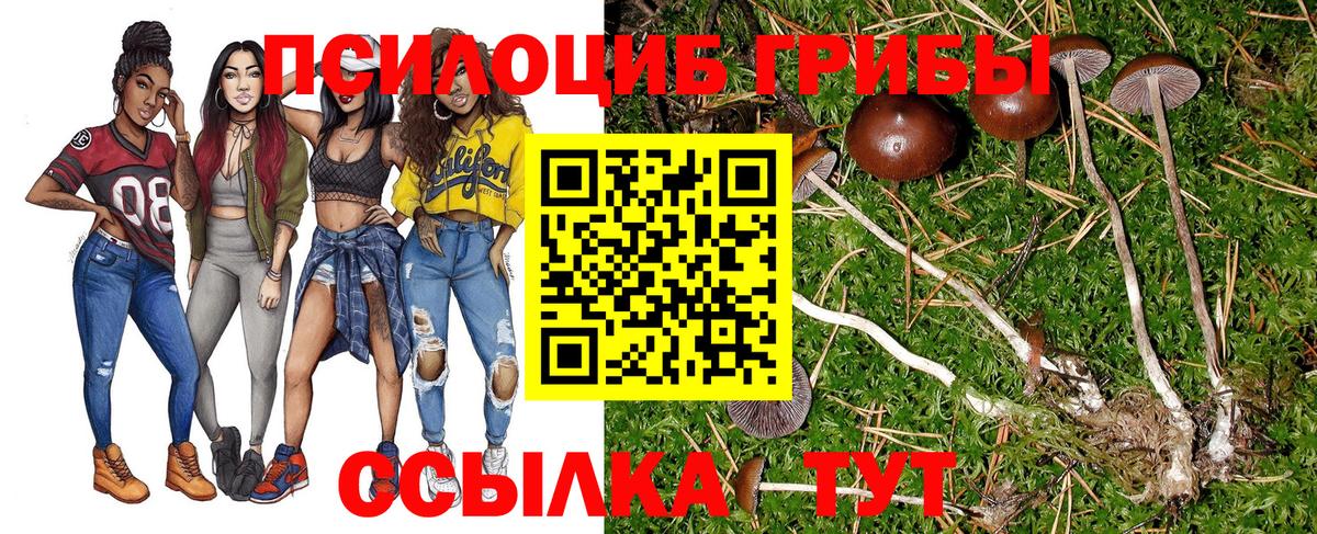 Чебоксары  Псилоцибиновые грибы мухоморы  Вход с VPN 