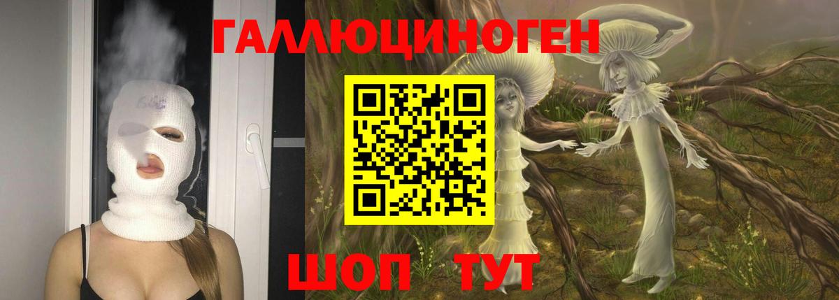 Псилоцибиновые грибы Psilocybine cubensis Чебоксары
